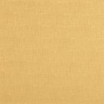 Dune Ouro