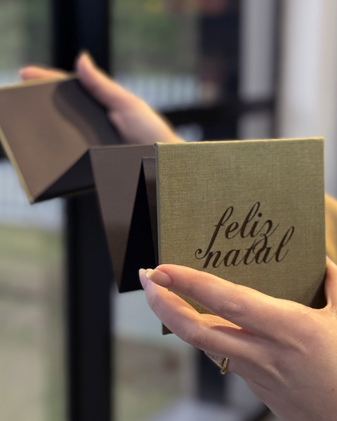 Kit 10 Álbuns Sanfonado Natal com LASER